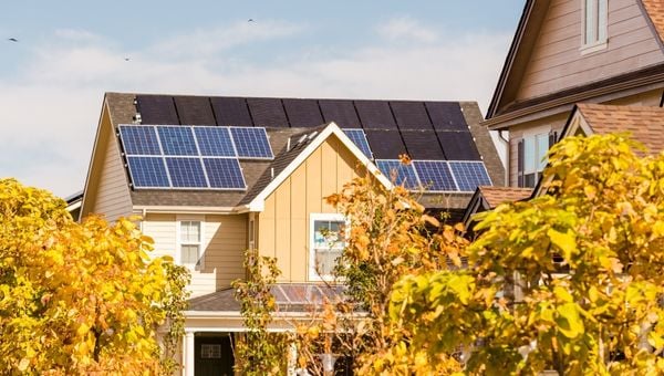 Is Freedom Solar the Right Choice? What You Need to Know