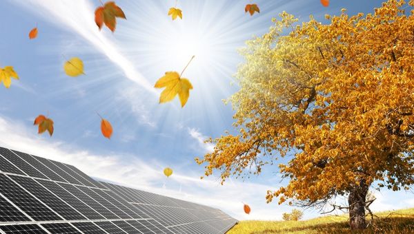 Thinking About Freedom Forever Solar? Here’s What You Need to Know